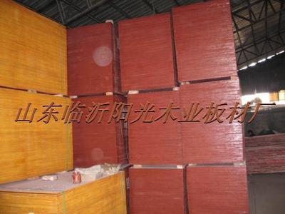 【陽光木業(yè) 專業(yè)防水 建筑模板 1830 * 915 * 13.5 mm 覆膜 黑皮】價(jià)格,廠家,圖片,其他木板材,山東臨沂陽光木業(yè)板材廠-