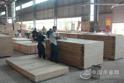 好板材,格綠造--中國(guó)木業(yè)網(wǎng)走進(jìn)福建格綠木業(yè)