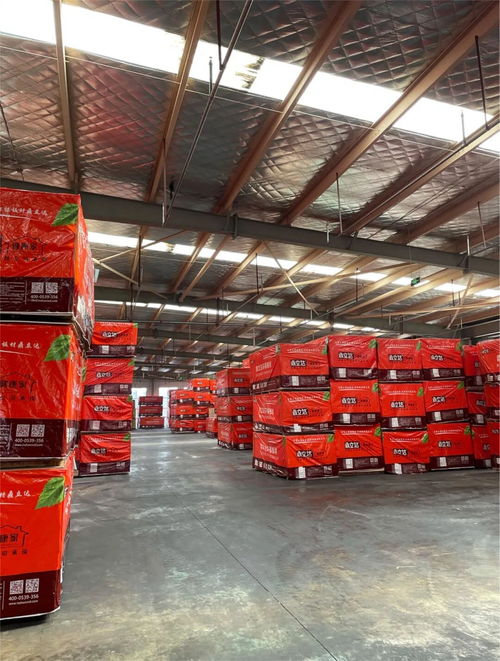 鼎立達榮獲金匠榜健康板材十大品牌 實力加冕，引領木業高質量發展