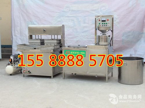 全自動豆腐皮機 產(chǎn)品性能與價格行情全解析